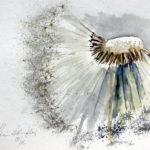 Pusteblume