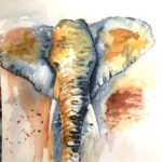 Elefant