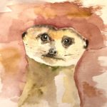 Erdhörnchen